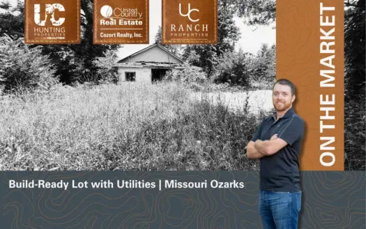 Build-Ready Lot with Utilities Available in Town | Birch Tree MO