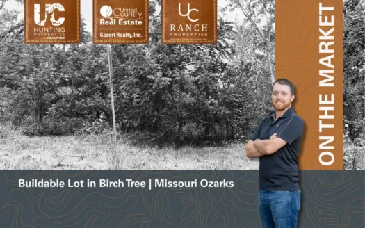 Buildable Lot in Birch Tree Missouri | Missouri Ozarks