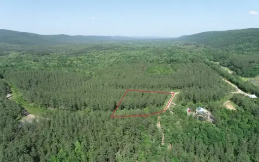 Building Acreage Near Three Rivers WMA