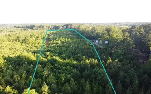 Charlotte County Comfort: 10.51 Wooded Acres