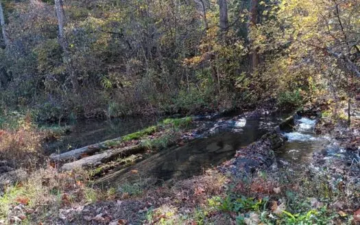 78.26 Vacant Acreage with Well and Spring Hawkins County, TN