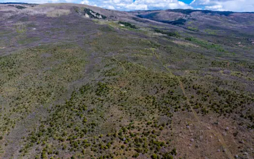 35± Acre Off-Grid Mountain Parcel NW of Cedaredge, CO – High Park