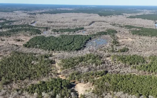 Duck, Deer, and Fishing Land for Sale on Little River
