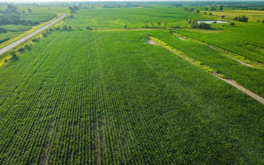 Exceptional ±38-acre farm in Clarke County near Woodburn, Iowa