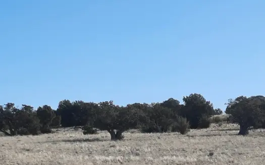 Gorgeous 37 acre off grid Northern AZ parcel