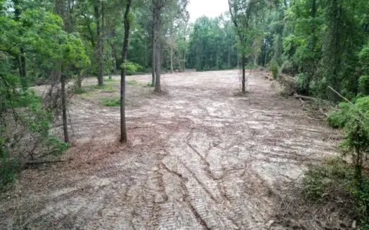 Hamburg 41: Hunting Land for Sale in Roxie, Mississippi