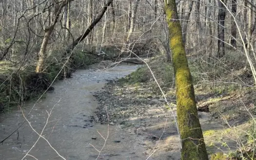 Highway 360 Creekside Tract with Road Frontage & Timber, VA