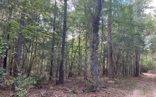 Hunting Land for sale within West Bay WMA near Elizabeth, LA