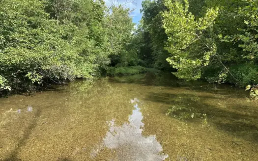 Land for Sale in Perry County, Tennessee