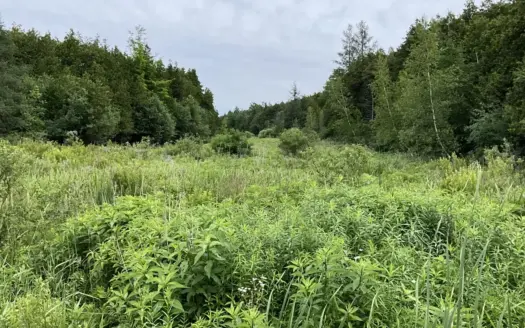 Land For Sale In Potsdam, NY