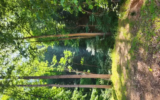 Land For Sale in Taylorsville, NC