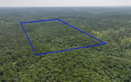 Land For Sale in Texas County Missouri