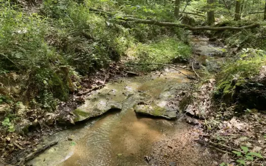Land For Sale In Tn, 15 Acres+/-, Wooded Land
