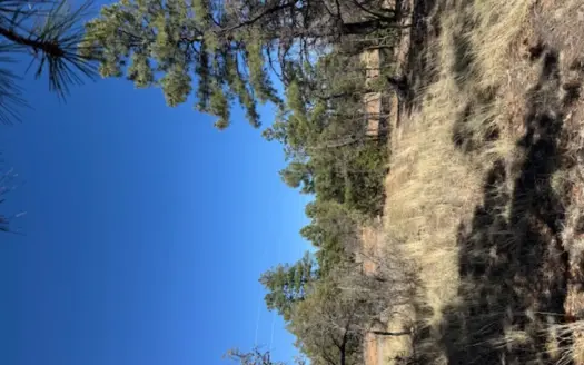 Land for Sale near Heron Lake in Northern New Mexico