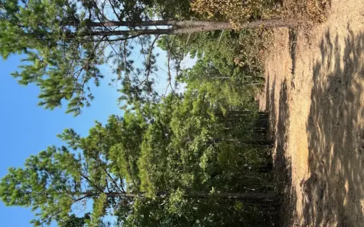 Land for Sale Talihina, Ok- Recreational Hunting Property OK