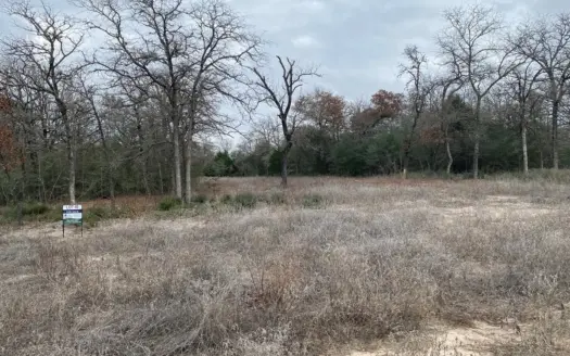 Land in Lexington TX with Ag Exemption – Build Now or Hold