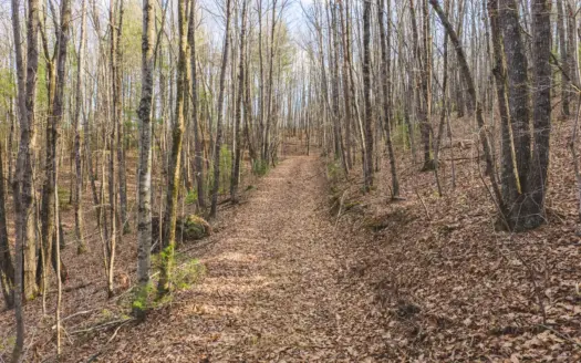 Large acreage land tract for sale in Alexander county NC