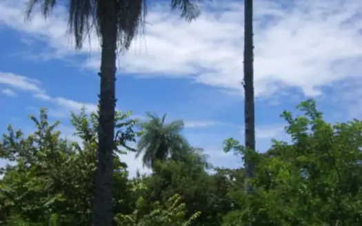 Large land tract for sale in Costa Rica by broker Michael Krieg