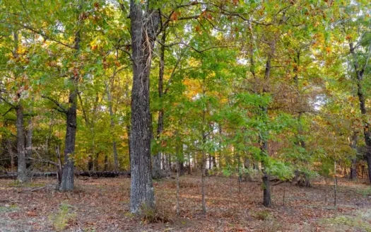 Lot 45 In Lakeshore Acres Gated Subdivision on Bull Shoals Lake