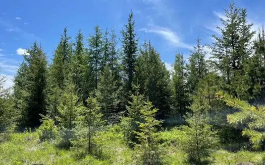 Mountain Escape for Sale in North Central Idaho