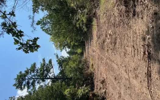 Mountain Hunting Land for Sale Talihina,Ok-Pushmataha County Land