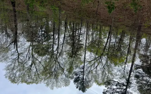 Mountain Land For Sale Near Lake Eucha South Of Jay, Oklahoma
