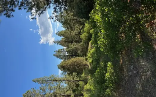 Mountain Land near Chama NM, Gated Access, Power and Shared Well