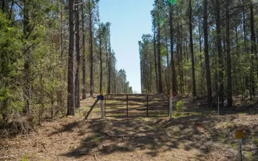 Northeast Lincoln Parish Timberland for Sale