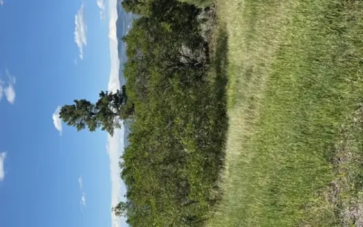 Northern NM Mountain Land for Sale Tierra Amarilla NM