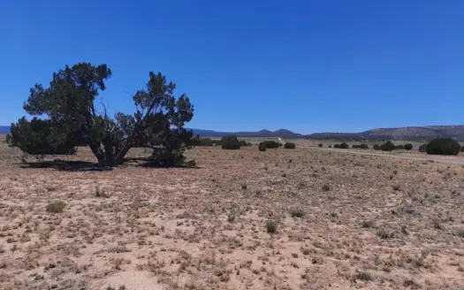 Perfect Northern AZ parcel just off Route 66