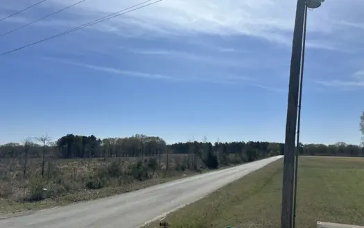 Prime Drew County Timberland Investment Property