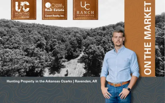 Prime Hunting Land in the Ozarks | Ravenden, Arkansas