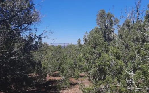 Remote Northern AZ off grid mountain property