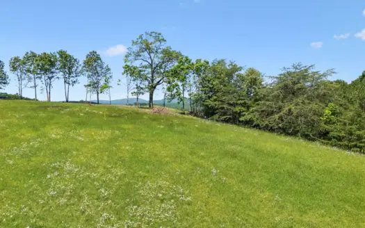 Residential Countryside Land for Sale in Grandview, TN