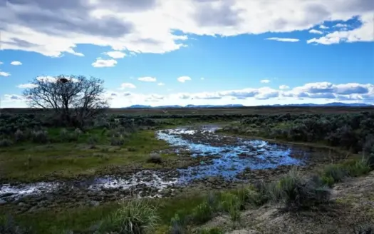 Residential Land For Sale Elko County