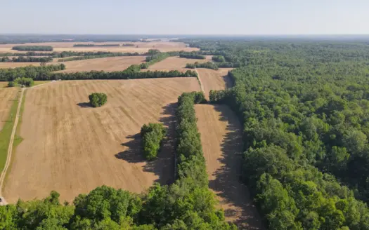 Riverfront Legacy Farm | 700 Acres ± | Land For Sale In Tn