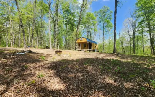 Rustic Cabin Retreat Near Dale Hollow Lake