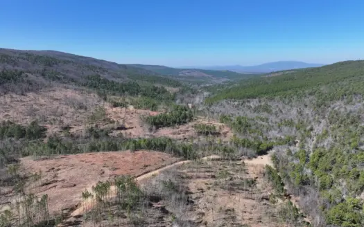 Southeast Oklahoma Timberland Property For Sale