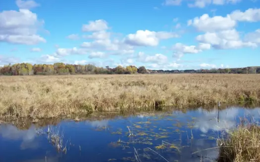 Trophy Whitetail Deer Hunting Columbia County Wisconsin