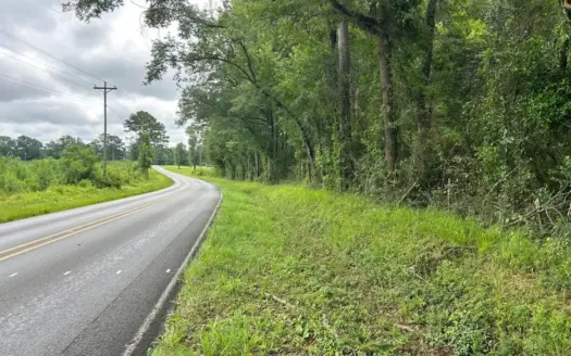 Tuckers Crossing 31 – Land for Sale Jones County, MS