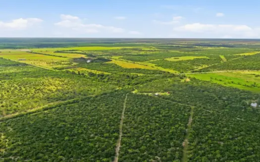 Turnkey South Texas Cattle & Hunting Ranch with Executive Home