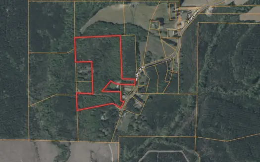 Vacant Land for Sale Nashville, NC – 20.95 Acres