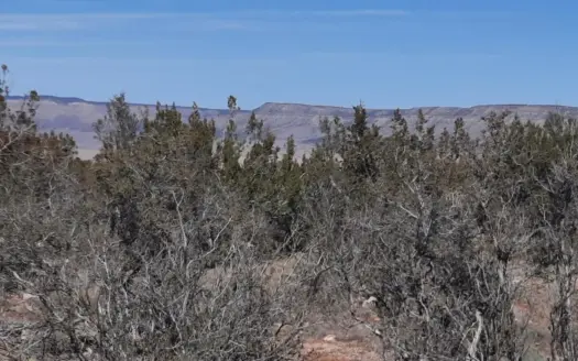 VIEWS,VIEWS, VIEWS… Northern AZ property