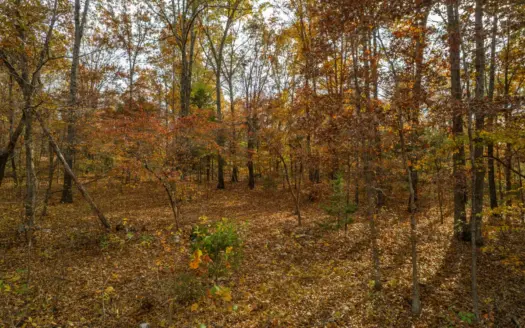 Wooded Acreage Retreat in the Missouri Ozarks | Tecumseh