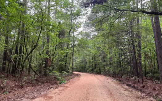Wooded Land with County Road/Utilities near Locust Bayou, AR