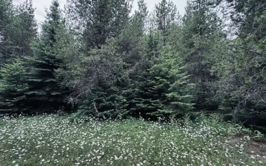 Your Low-Maintenance Idaho Recreational Basecamp Awaits