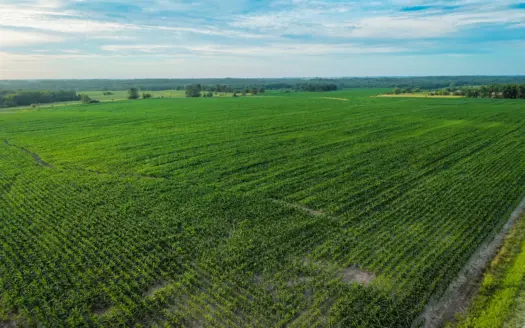 ±110-acre Lucas County farm near Woodburn IA