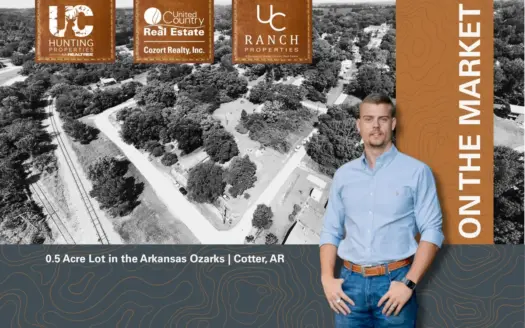 0.5 Acre Lot in Cotter Arkansas | The Arkansas Ozarks