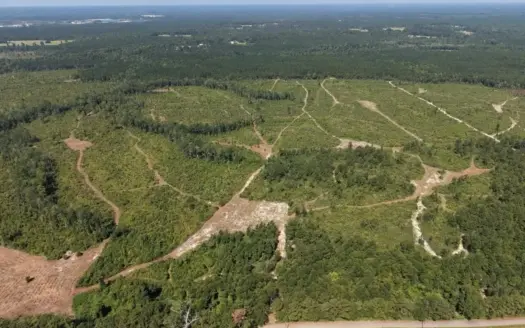42± Acre Homesite & Hunting Land in Plainview, LA