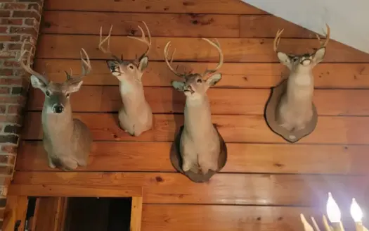 Atchafalaya  Basin  Hunting – Sportsman’s  Paradise